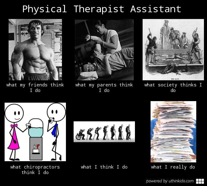 Physical Therapist Assistant Meme