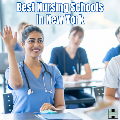 Best Nursing Schools in New York